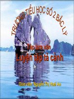 TLV: Luyện tập tả cảnh