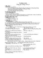 Giáo án TNXH Lớp 2(Tuấn 19-33)