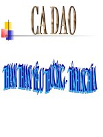 Ca dao than thân yêu thương tìinh nghĩa