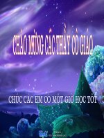 mi thưật