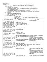 giao an lich su 6 ( tron bo)