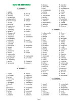 Review On English Words