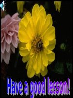 Unit 12: Lesson 2: A3-5/ p.125-126