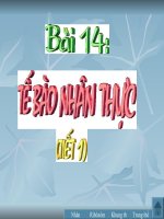 Bài 14: Tế bào nhân thực