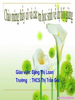 tiết 31