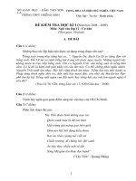 Đề thi học kì I(2008-2009), Ngữ văn K12 CB