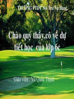 Bài ôn tập cuối năm tiết 106