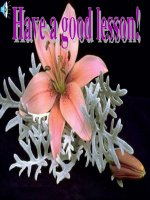 Unit 3: Lesson 2: A 3-4/ p. 32,33