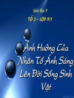 Bài 42: Ảnh hưởng của nhân tố sinh thái ánh