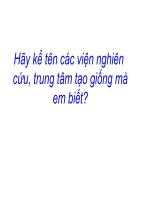 thanh tưu chon giông -sh12