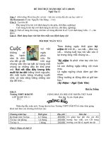 Đề KT nghề tin lớp 11