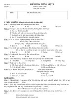 ktra Tiếng Việt 9 HK I