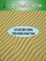 Trội không hoàn toàn