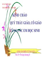 Ga Powerpoint tiết 29 - Đại số 9