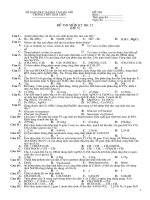 de thi HK Lop 12 co dap an de 5