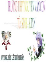 bai 13. Ung dung CNVS san xuat phan bon