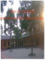 Tiết 51- phương trình bậc hai một ẩn