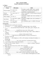 TCHON Period 9. REVISION ON TENSES.doc
