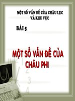 MỘT SỐ VẤN ĐỀ CHÂU PHI