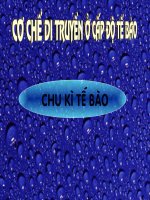 Chu kỳ tế bào