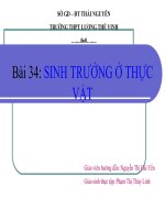 Bài 34: Sinh trưởng ở thực vật