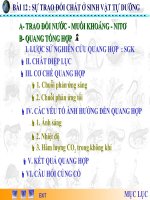 Sự trao đổi chất ở sinh vật tự dưỡng