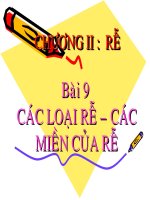 Bài 9: Các loại rễ, các miền rễ