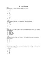 Đề toán lớp  11-3