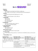 Bài 14:Thân dài ra do đâu