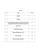 SKKN giải bài tập di truyền sinh học