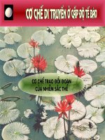 Đột biến trao đổi đoạn NST