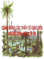 sự phát triển của giới thực vật trên trái đất