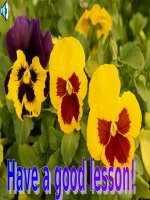 Unit 5: Lesson 1: A1-2/ p.52-53