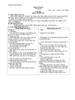 Giáo án Tiếng Việt kỳ 2