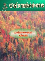 Giải thích QL Hoán vị gen