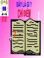 ĐUỔI HÌNH BẮT CHỮ