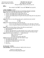 Đề kiểm tra học kì II lớp 10_2007_2008