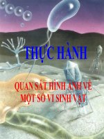 Bai 42 - Quan sat vi sinh vat