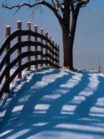 goc co dinh o trong duong tron