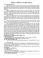 kn dạy chương số hữu tỉ