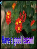 Unit 15: Lesson 4: B2-4/ p.159-161