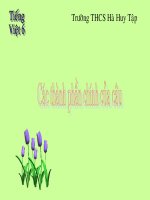 Bài 6: Các thành phần chính của câu