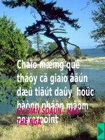 Bài soạn thi cấp tỉnh