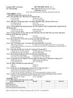 Đề kiểm tra Ngữ văn 10 HK II