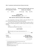 Mau van ban Quyet dinh