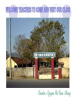 Unit 13: Language focus