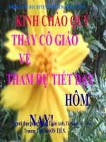 Đại Số Lớp 8. Tiết 60