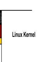 Linux Kernel