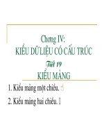 Tiết 19: Kiểu mảng