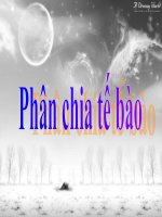 bài 20: phân chia tế bào